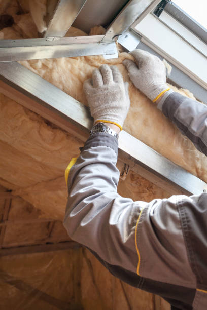 Best Eco-Friendly Insulation in Jacksboro, TN