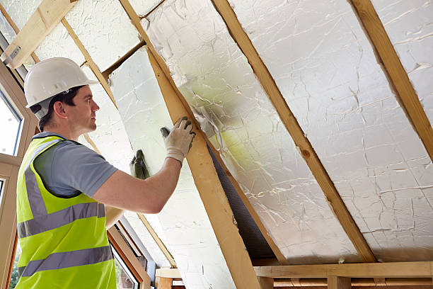 Best Cellulose Insulation in Jacksboro, TN